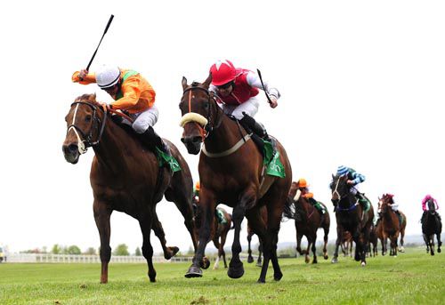 My Girl Anna, right, prevails by a nose from Luisant at Navan