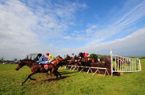 Dromahane action