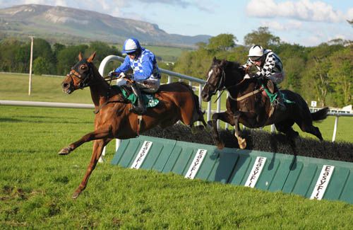 Roving Lad and Andrew Lynch chase Young Milly over the final flight