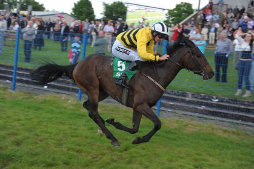 Glens Melody runs at Warwick