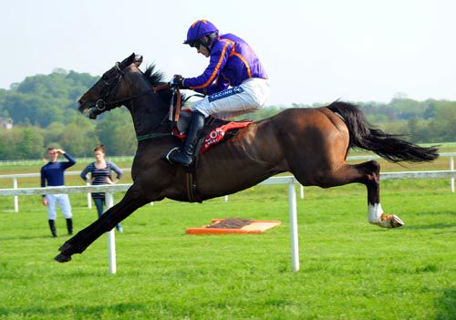 Simenon (Ruby Walsh) in full flight on his way to an easy win