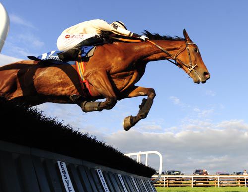 Bank The Bucks jumps the last under Bryan Cooper