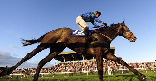 Parramatta strides to the line in front of the good crowd at Ballinrobe