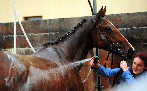 Instant Impacked gets a well earned wash