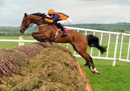 Whodoyouthink & Mick Darcy were an impressive partnership at Punchestown