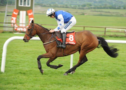 Ruby Walsh enjoyed his spin on that grand mare Letherbelucky