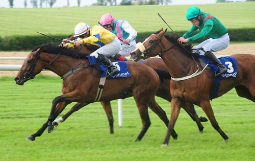 Queens Visit gets the better of Quick Glimpse (on rail) and Hassaya (near side)