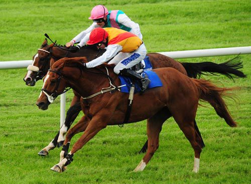 Donatis Comet (nearest) just gets the better of No Such Number