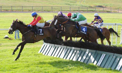 The Rossmeister (No 4) challenges at the last under Shay Barry