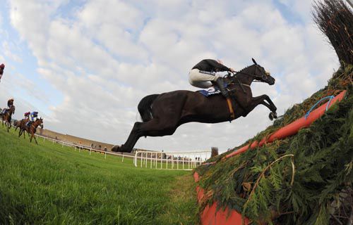 Lend A Hand Son pings the last for Ruby Walsh