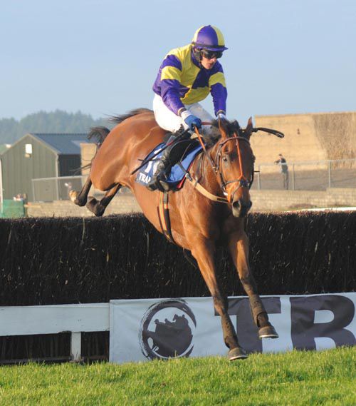 The Amarillo Kid and Paul Townend land clear over the last