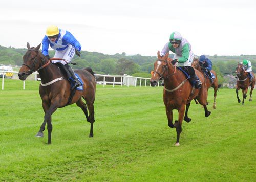 Definite Class (left) defeats Flying Light