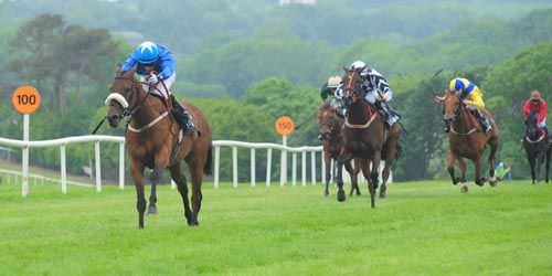 Benefit Of Porter is clear, Camelot-style, at Tramore