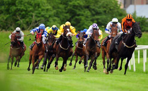 Enough Is Enough leads the field into the straight with Naked Cowboy third from the left