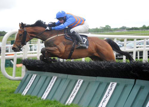 Mister Benedictine and Dave Crosse pop the last at Kilbeggan