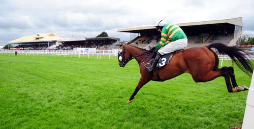 Dingaling clears the last before going on to win under Mark Walsh