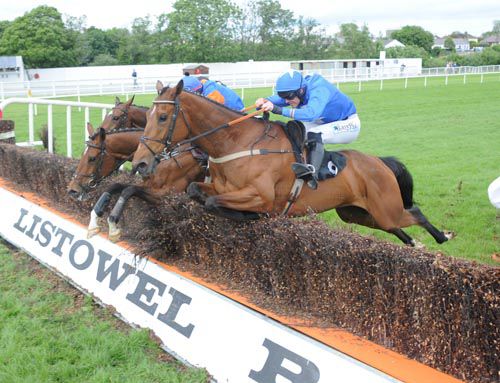 Glibin & Andrew McNamara jump the last alongside Magical Mother and Jacksonlady