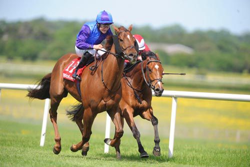 Bold Thady Quill, left