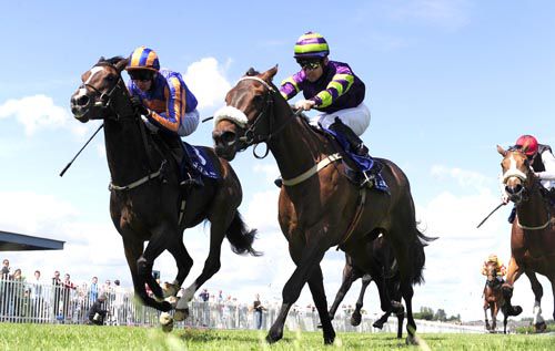 I'm Sheikra, right, wins a photo finish at Naas