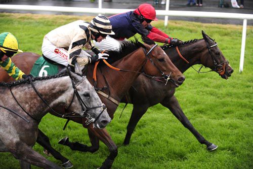 Daytime Dreamer (far side) wins from Bank The  Bucks and Black Rock Lake (near)