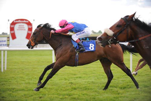 Man Of Erin and Johnny Murtagh 