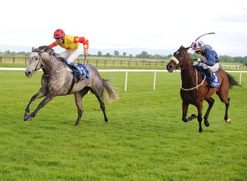 Morethanafeeling and Marc Monaghan (left) beat The Fox Tully