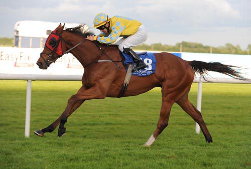 Xsquared and Wayne Lordan