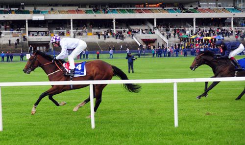 Einsteins Folly is too good for Count Of Limonade at Leopardstown