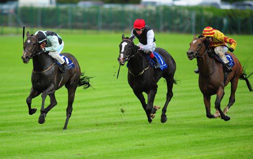 Midnight Soprano has Unaccompanied & Saddler's Rock covered at Leopardstown