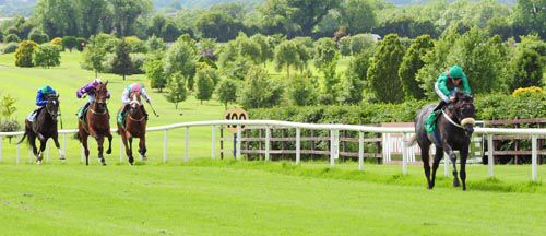 Mizani is well clear of his three rivals as he approaches the line under Shane Foley