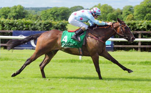 Balrath Hope strides to victory under Declan McDonogh