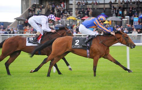 Gale Force Ten is pushed out by Joseph O'Brien to beat Leitir Mor