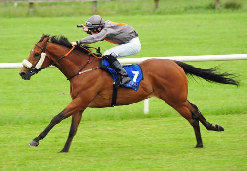 Ian Brennan pushes out Bubbly Bellini to victory