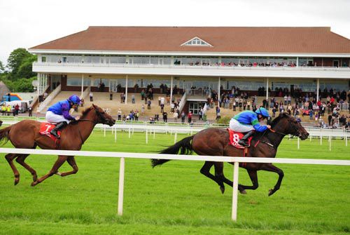 Potomac and Chris Hayes 