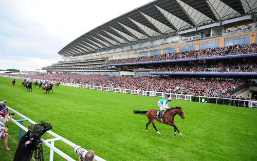 Frankel and Tom Queally at Royal Ascot yesterday