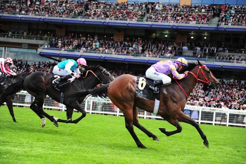 Little Bridge and Zac Purton winning for trainer Danny Shum 
