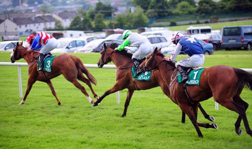 Goldplated too strong for Mojita and Elusive Ridge