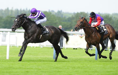 So You Think and Joseph O'Brien beating Carlton House