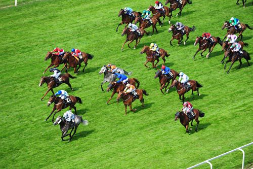 Prince Of Johanne and John Fahy lead the field home in the Royal Hunt Cup