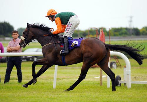 A relieved looking trainer Paul Nolan sees his Red Calima win at Wexford