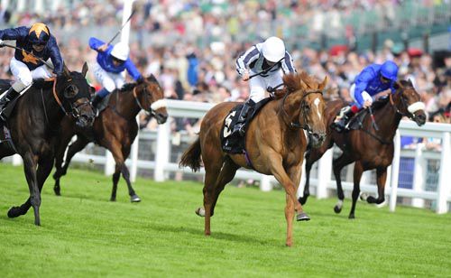 Duntle (centre) winning at Royal Ascot