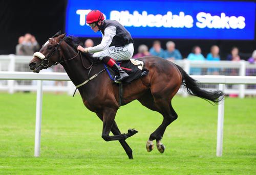 Princess Highway disappointed in France today