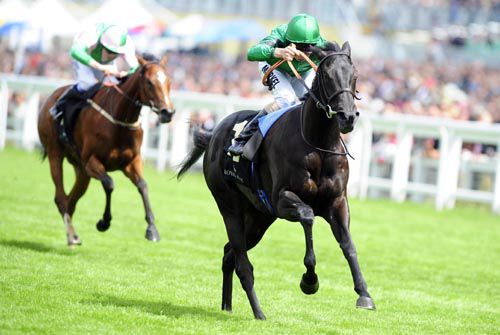 Newfangled pictured winning the Albany Stakes