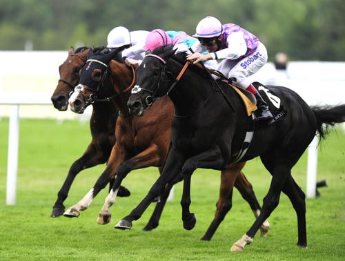Thomas Chippendale (nearest) gets the better of Noble Mission (centre) and Thought Worthy