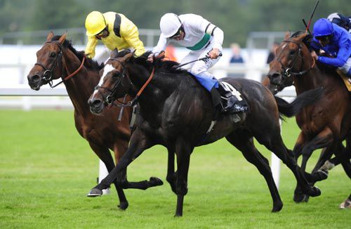 Gatewood (white) comes to pass Mijhaar to complete the treble for his rider William Buick & trainer John Gosden