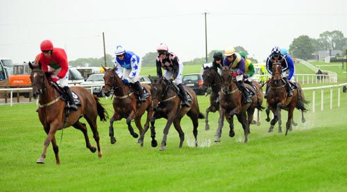 Top Madam takes the field along at Down Royal