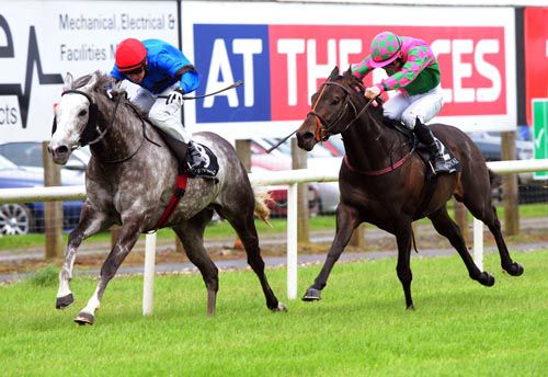 Patrickswell holds off Battleroftheboyne in the 1st on Derby Day at Down Royal