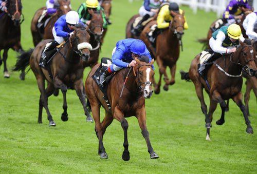 Tha'ir wins the Chesham