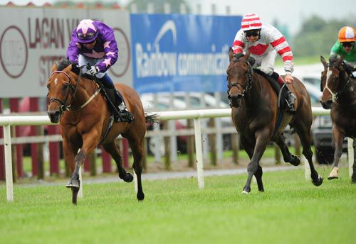 Custom Cut showed a good attitude out in front to beat Joe Eile & Knock Stars