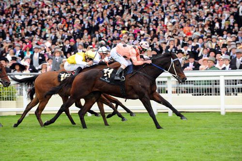 Black Caviar holds on in front of the packed Ascot stands